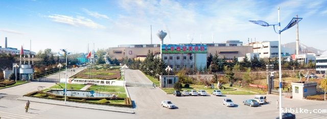 L . 山东莱钢股份炼钢厂