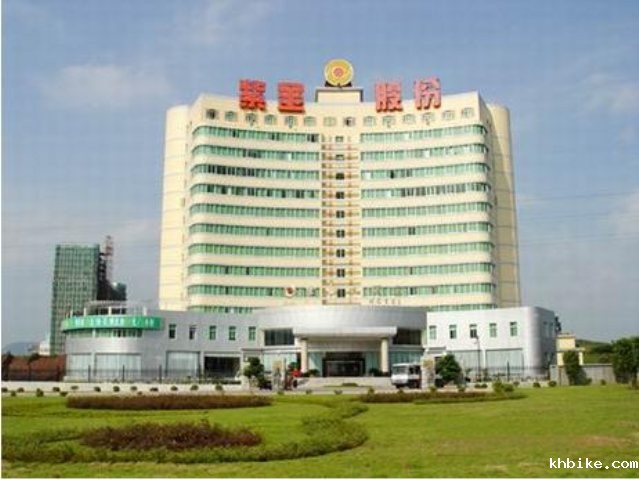 L . 福建紫金矿业