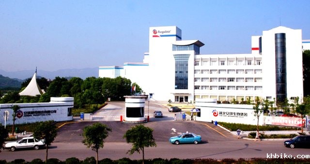 R . 湖北安琪酵母股份