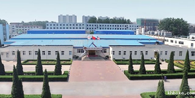 R . 山东禹城龙力