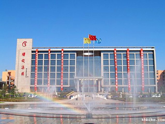 T . 河南顺成煤焦