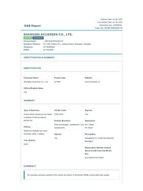 D&B-Business-Information-Report